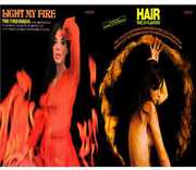 Light My Fire / Hair , The Firebirds