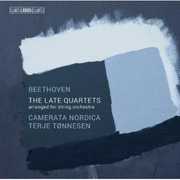 Late String Quartets , Terje Tonnesen