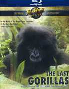 Last Gorillas 