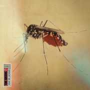 Dear Bo Jackson , The Weeks