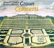 Concerti , Il Gardellino