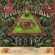 Psych Tribute to the Doors / Various , Various Artists