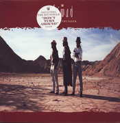 Distant Thunder (Don't Turn Around) , Aswad