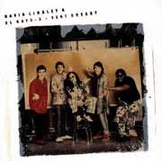Very Greasy , David Lindley