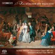 Secular Cantatas 3 , J.S. Bach