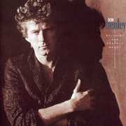 Building the Perfect Beast , Don Henley