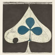 Shields , Grizzly Bear