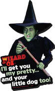 Wizard of Oz- Wicked Witch of the West Funky Chunky Magnet. I'll get