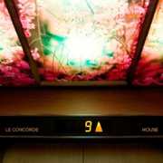 House , Le Concorde