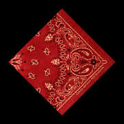 Red Bandana , Aaron Watson