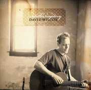 Into the Mystery , David Wilcox