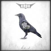 Be 3 , Kruk