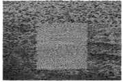 Grid Of Points , Grouper