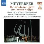 Crusader in Egypt , Emmanuel Villaume