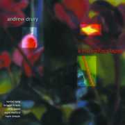 Momentary Lapse , Andrew Drury