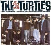 It Ain't Me Babe , The Turtles