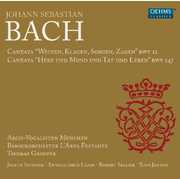 Cantatas , Arcis-Vocalisten M nchen