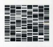 Test Pattern , Ryoji Ikeda