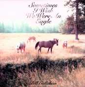Sometimes I Wish We Were An Eagle , Bill Callahan