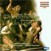Raising of Lazarus , Helmuth Froschauer