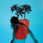 Sunlit Youth , Local Natives