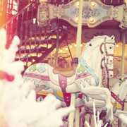 Mechanical Gardens , Altar Eagle
