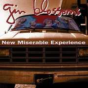 New Miserable Experience , Gin Blossoms