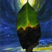 I'm Changing , Cafe Soul All Stars