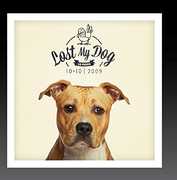 Lost My Dog 10x10 - 2009 , Various Artists