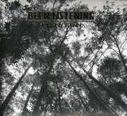 Been Listening , Johnny Flynn