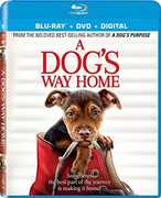 A Dog's Way Home , Bryce Dallas Howard