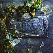 Black Album [Import] , The Damned