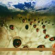 Beyond Babylon , Paul Brody