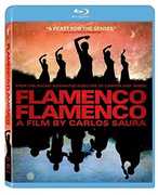 Flamenco, Flamenco