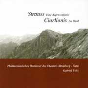 An Alpine Symphony / Miske , Gabriel Feltz
