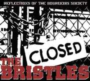 Reflections of the Bourgeois Society , The Bristles