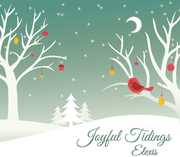 Joyful Tidings , Diane Arkenstone