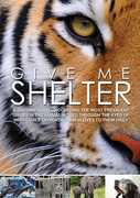 Give Me Shelter 