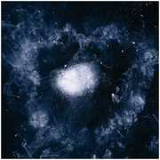 My Father Will Guide Me Up a Rope to the Sky [Import] , Swans