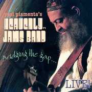 Bridging the Gap Live , Yossi Piamenta