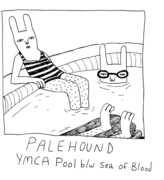 Ymca Pool , Palehound