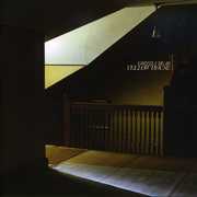 Yellow House , Grizzly Bear