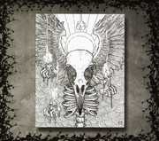 The Apparition , The Floating World