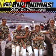 Shut Em Down Again , The Rip Chords