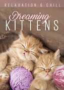 Relax: Dreaming Kittens 