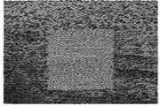 Grid Of Points , Grouper