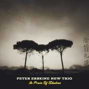 In Praise Of Shadows , Peter Erskine New Trio