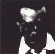 Judah Johnson , Judah Johnson