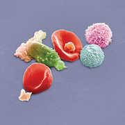 New Blood , Peter Gabriel