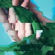 Out of Body , The KVB